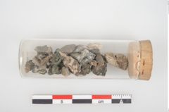 Foto von Bronzegewandbesatzknöpfchen (NHMW-PRAE-026157)